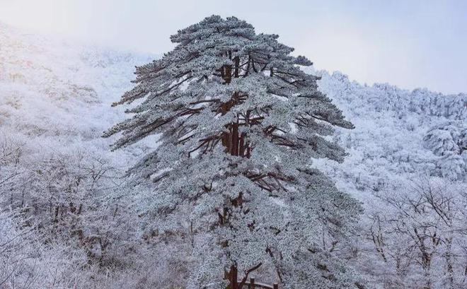 事项黄山旅游5天怎么安排游记分享！千亿球友会app黄山旅游五日游注意(图2)